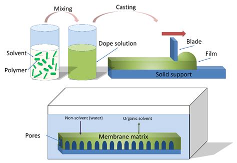 organic membrane production